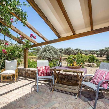 Sunny Countryside Villa - With Private Pool 팔리라키 외부 사진