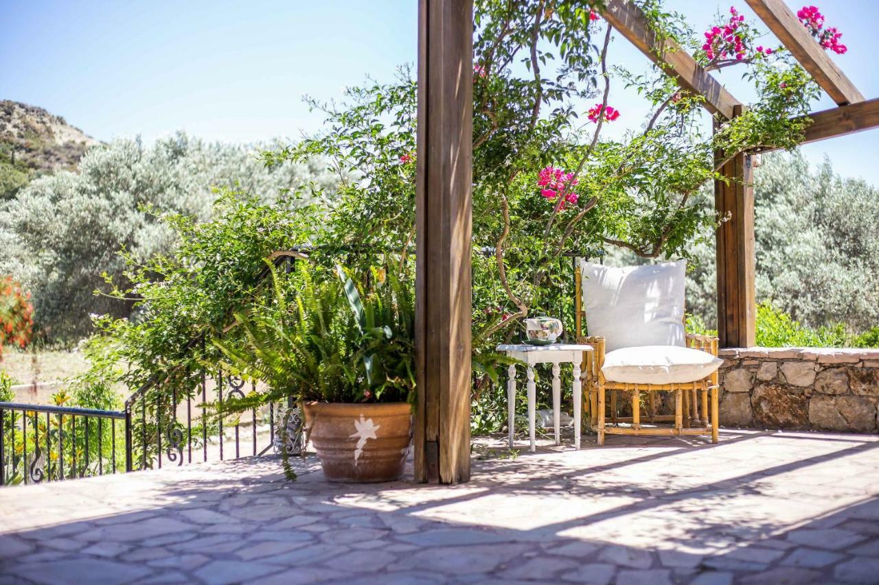 Sunny Countryside Villa - With Private Pool 팔리라키 외부 사진