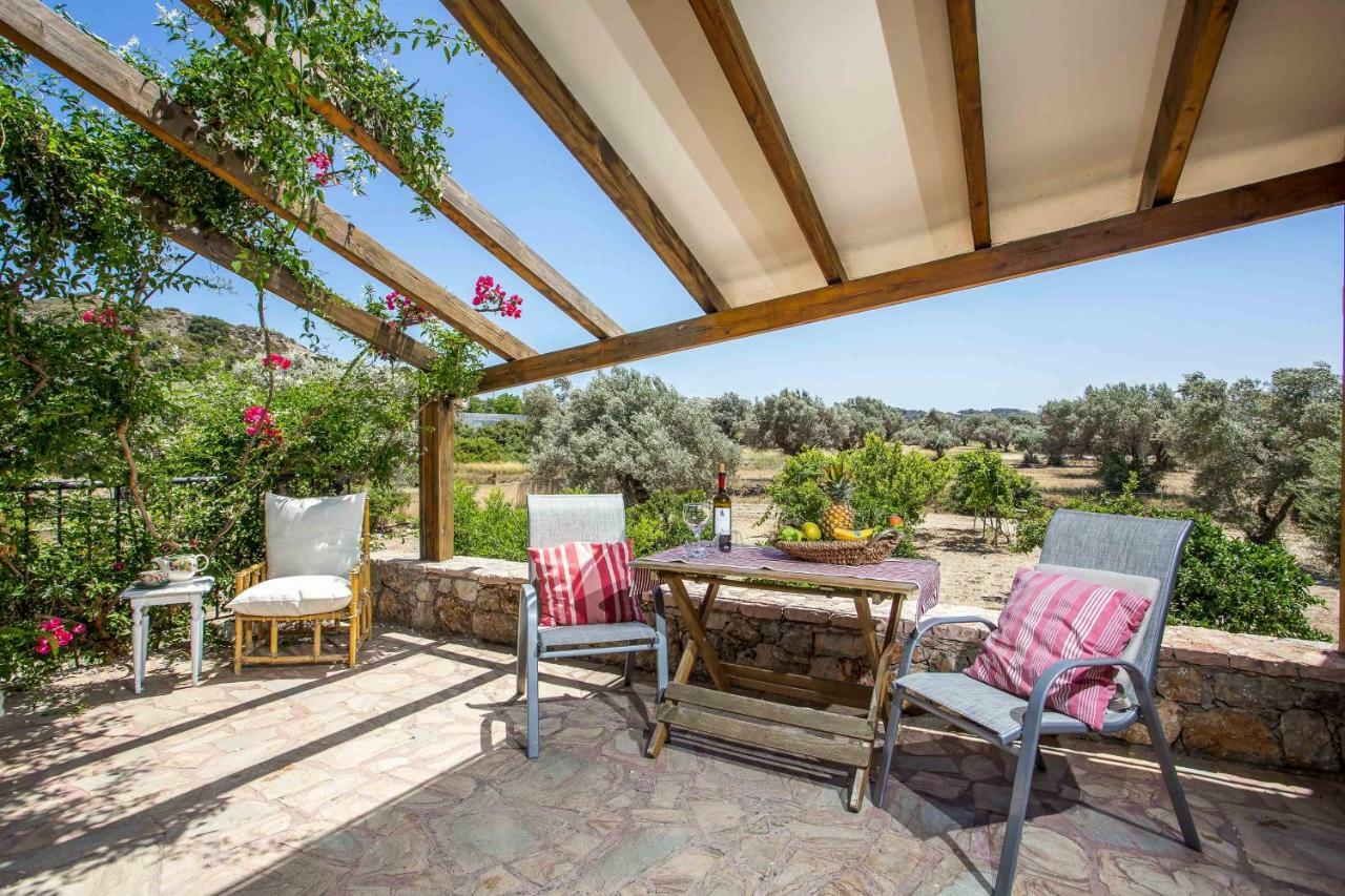 Sunny Countryside Villa - With Private Pool 팔리라키 외부 사진